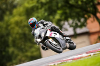 PJ-Motorsport-2019;anglesey;brands-hatch;cadwell-park;croft;donington-park;enduro-digital-images;event-digital-images;eventdigitalimages;mallory;no-limits;oulton-park;peter-wileman-photography;racing-digital-images;silverstone;snetterton;trackday-digital-images;trackday-photos;vmcc-banbury-run;welsh-2-day-enduro